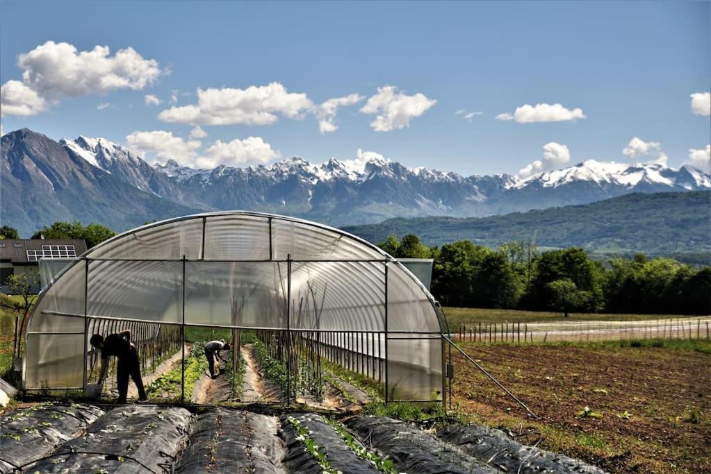 Double Bedroom, Kitchen, Bathroom In Organic Farm Belluno Exterior photo